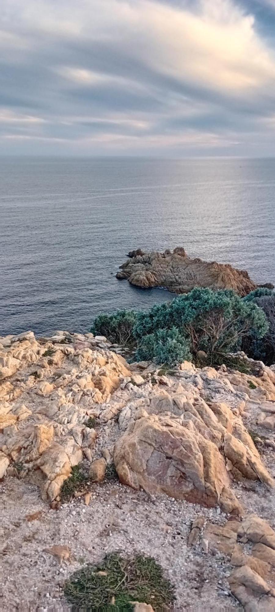 Appartement T2 A La Croix Valmer Piscine Et Tennis المظهر الخارجي الصورة
